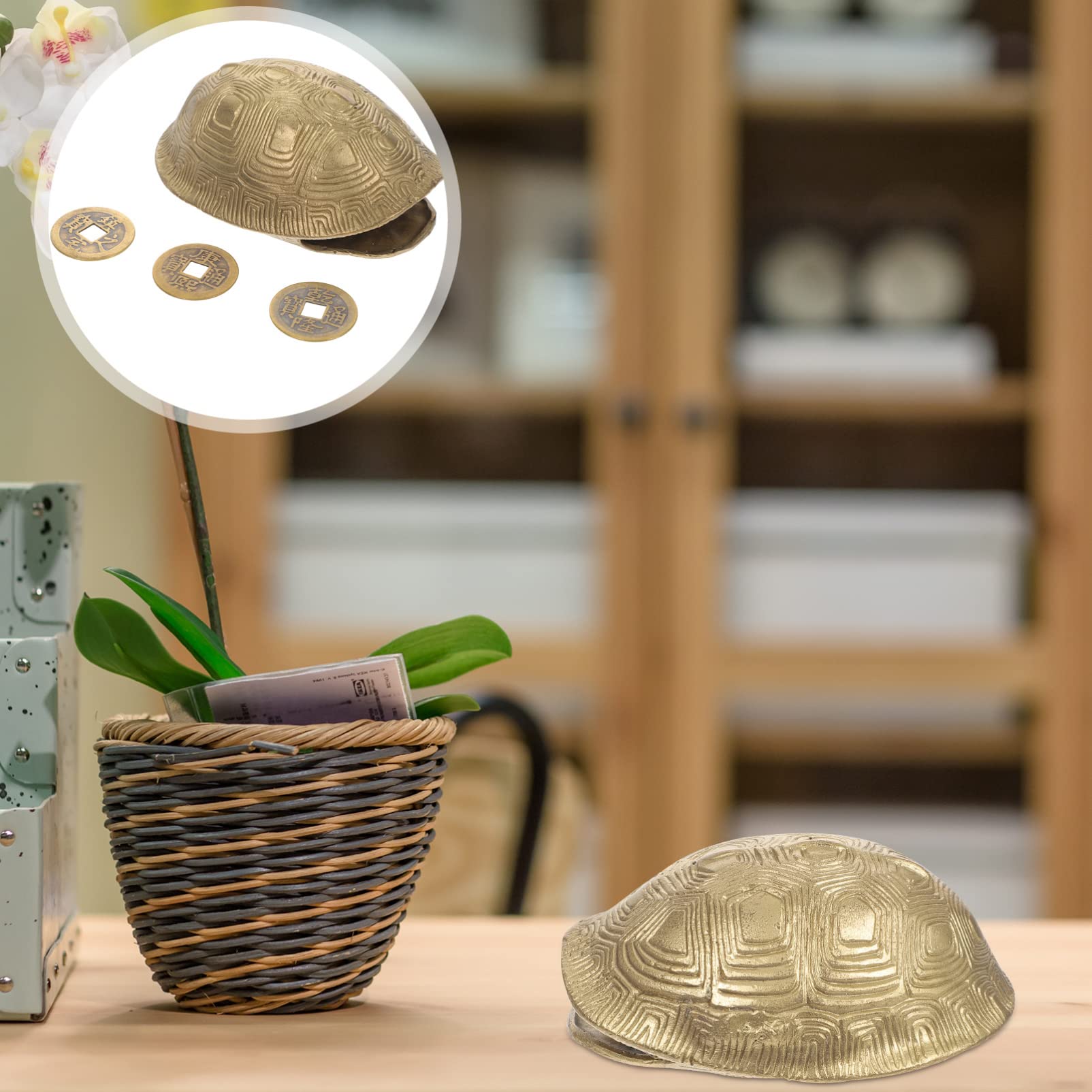 Amazon.co.jp: NUOLUX 中国の占いコイン 風水 カメの甲羅 幸運のカメ